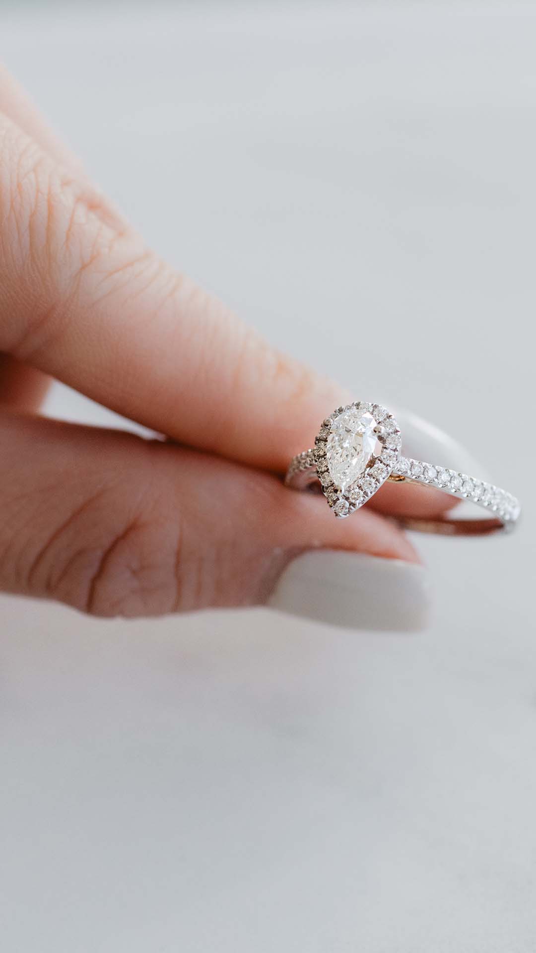 Enchanted Disney Collection
