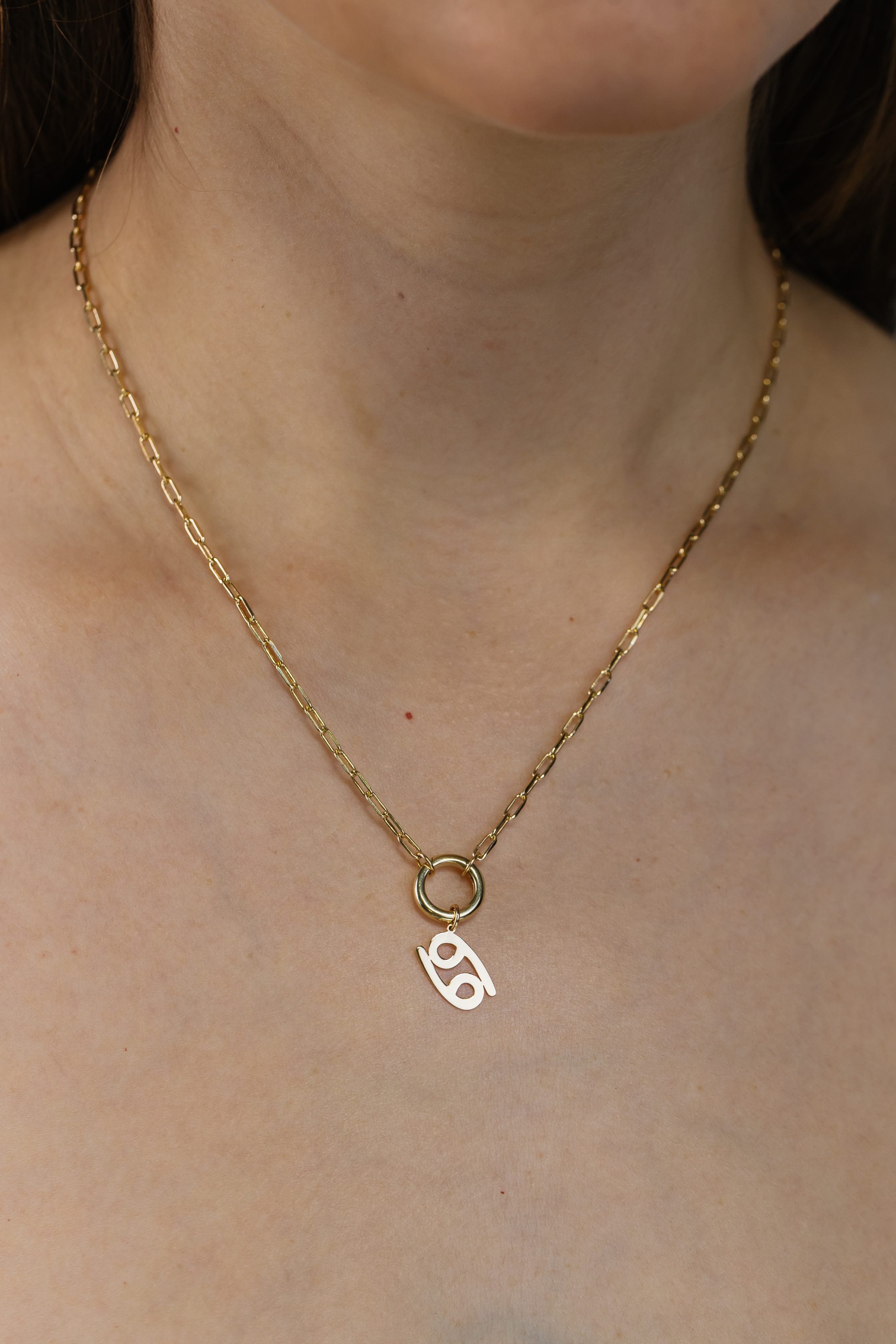 Cancer Zodiac Charm in 10kt Yellow Gold