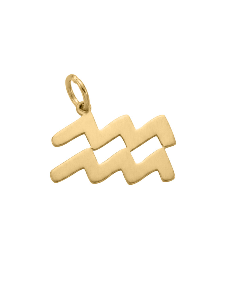 Aquarius Zodiac Charm in 10kt Yellow Gold