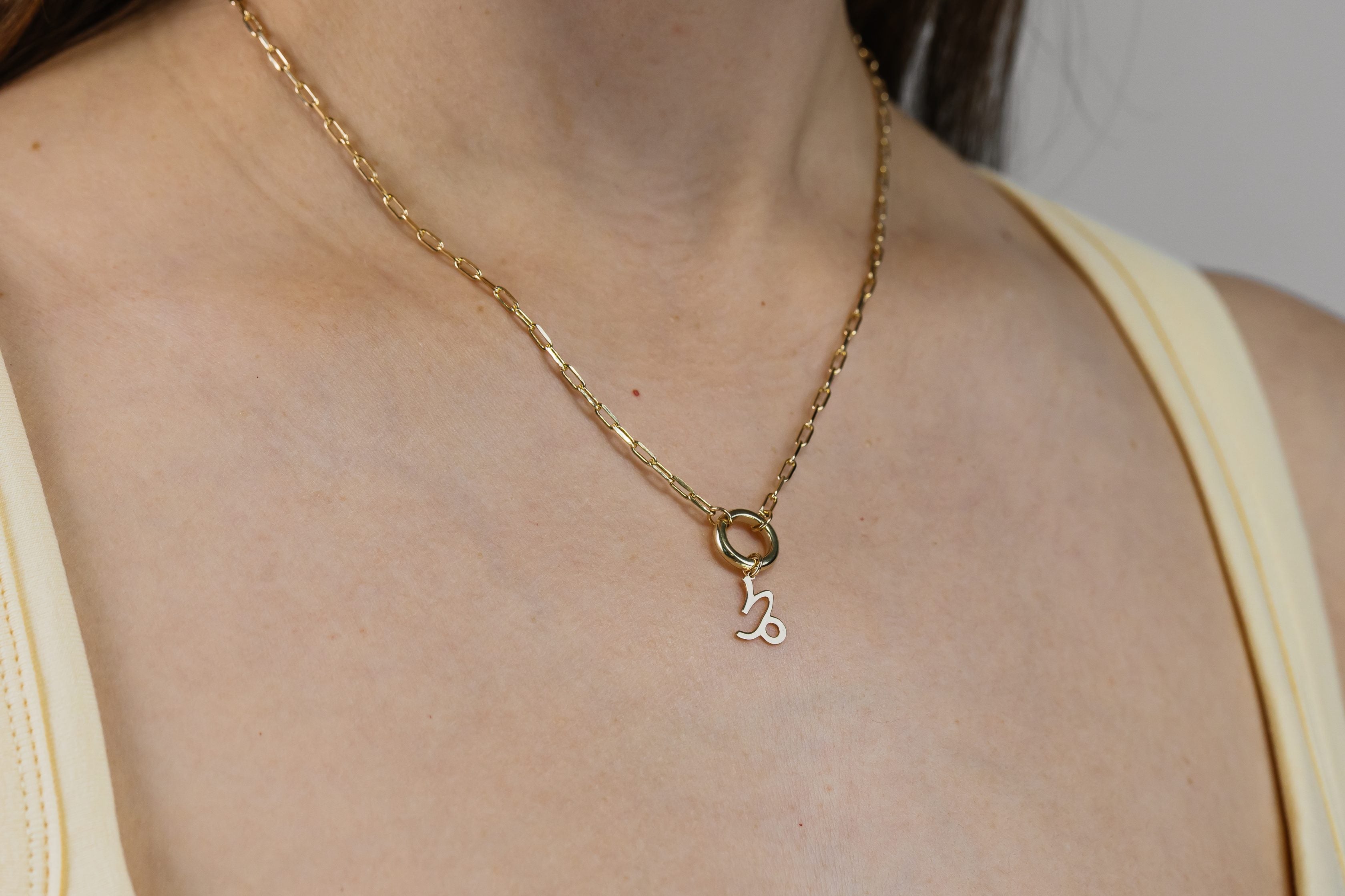 Capricorn Zodiac Charm in 10kt Yellow Gold
