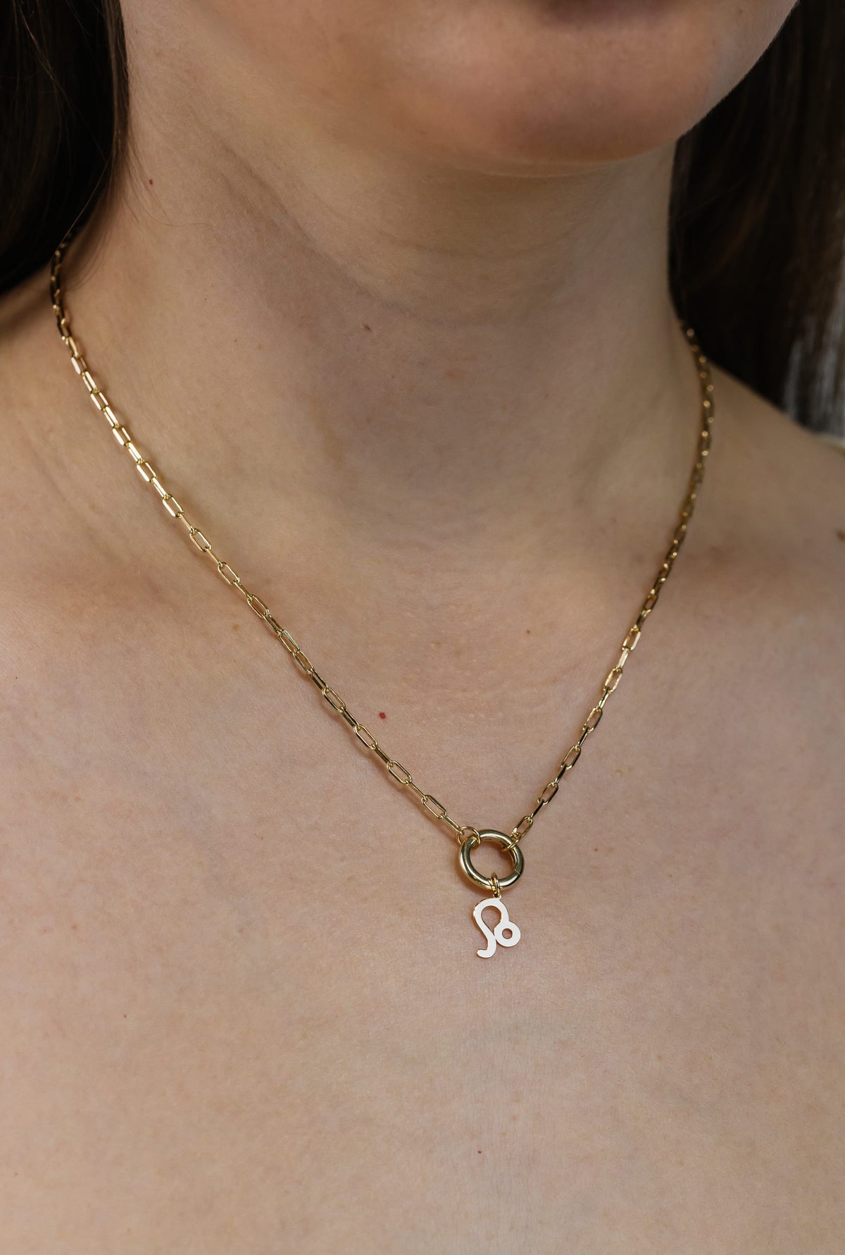 Leo Zodiac Charm in 10kt Yellow Gold