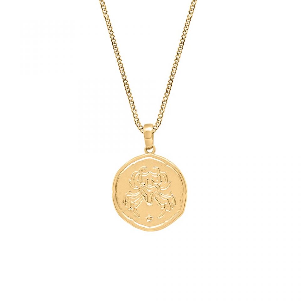 15MM Cancer Zodiac Disc Pendant in 10kt Yellow Gold with Chain - Paris ...