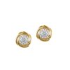 Earrings with .07 Carat TW of Diamonds in 10kt Yellow Gold