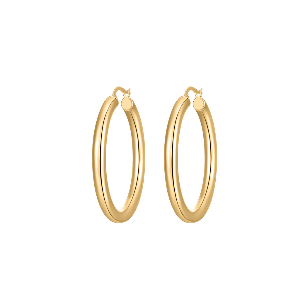Hailey Brushed Hoop Earrings - Silver main image 1