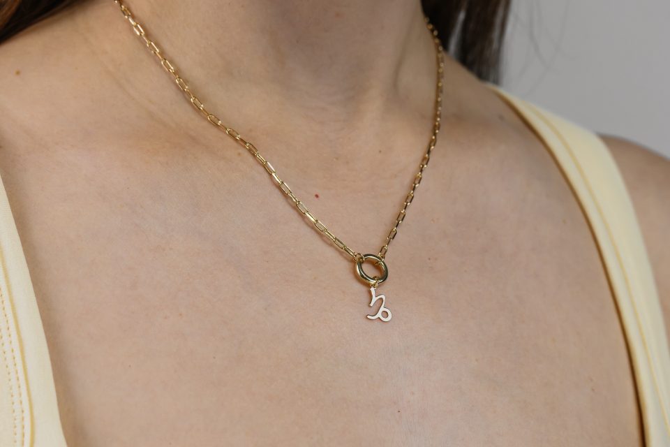 Capricorn Zodiac Charm in 10kt Yellow Gold