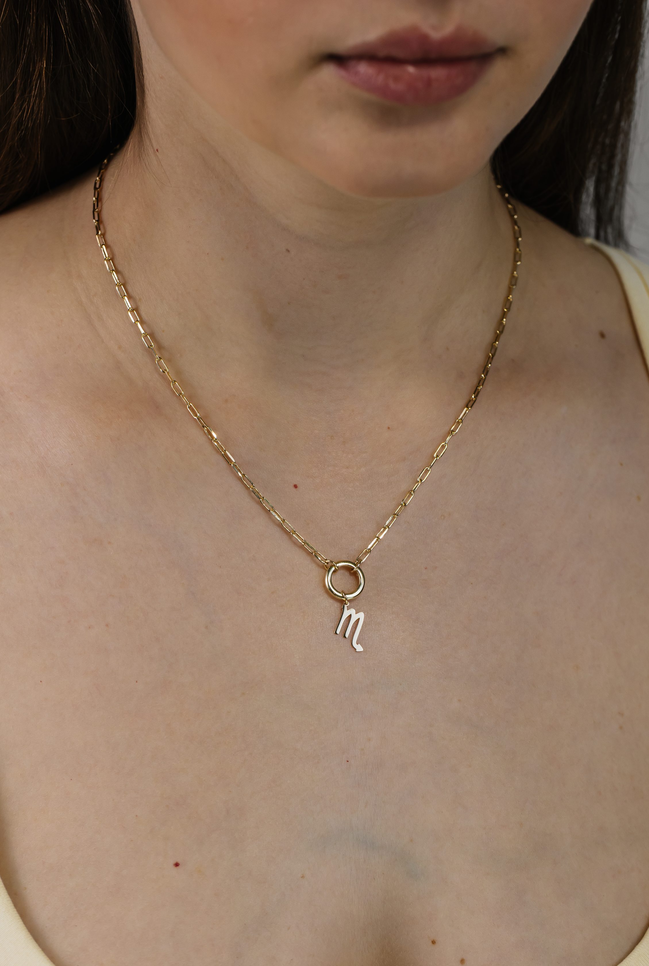 Scorpio Zodiac Charm in 10kt Yellow Gold